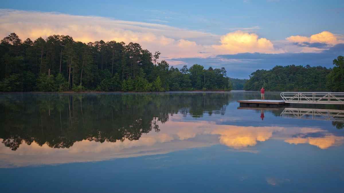 Shad fishing season opens Jan. 1 - Grice Connect