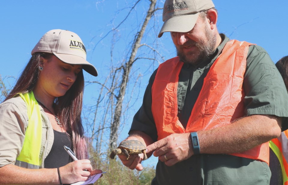 photo_dnrs-matt-elliott-and-former-uga-researcher-miranda-gulsby-release-a-head-started-gopher-tortoise-at-sansavilla-wma-credit_justin-eckelberry_zoo-atlanta