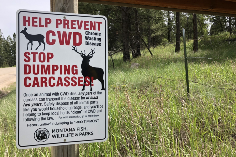 cwd-poster