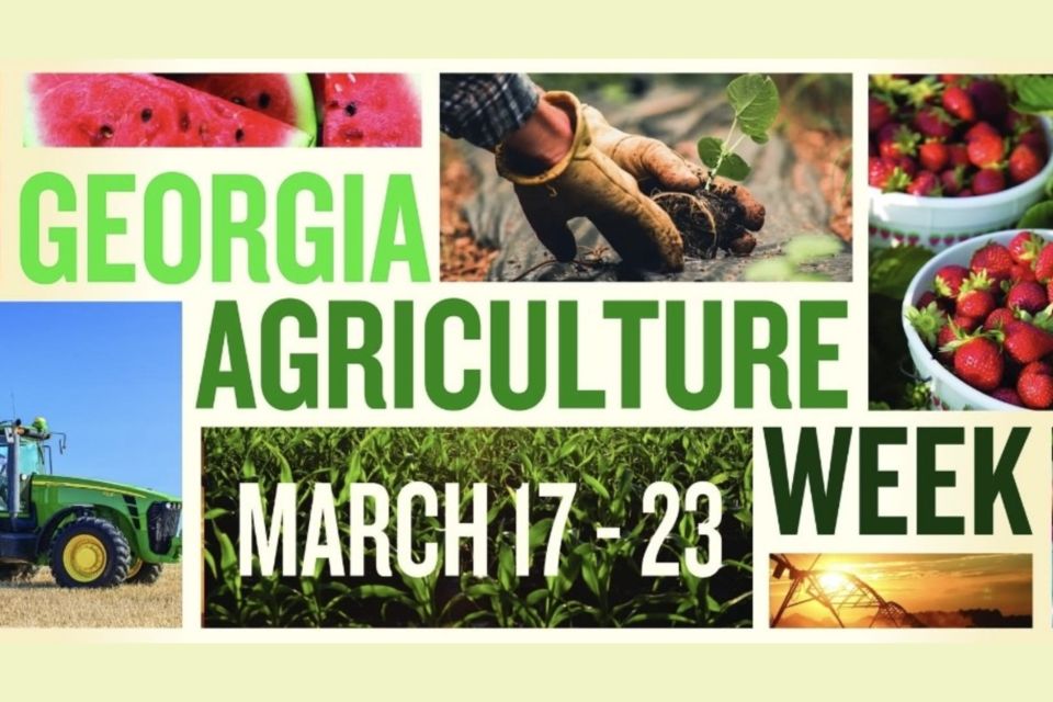 georgia-ag-week