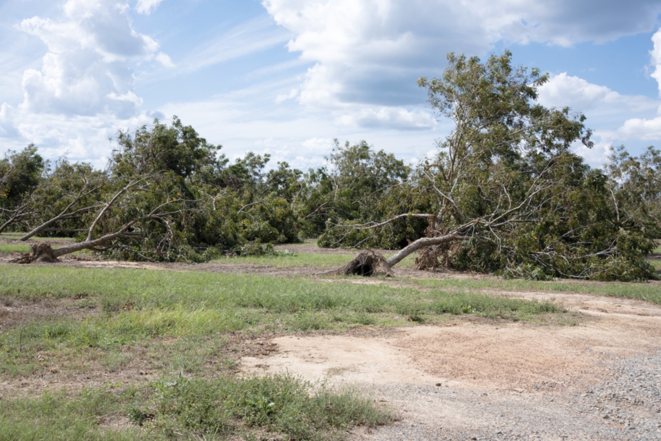 hurricane-helene-damage