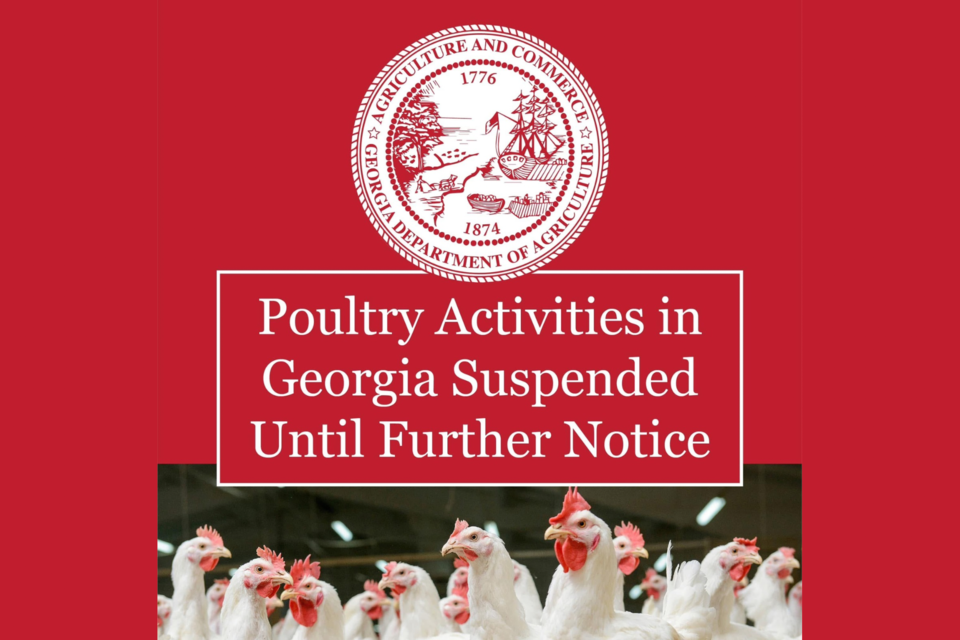 poultry-activities-cancelled