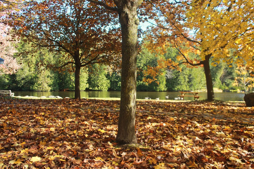 The fall season lights up the Rockwood Conservation Area. Anam Khan/GuelphToday