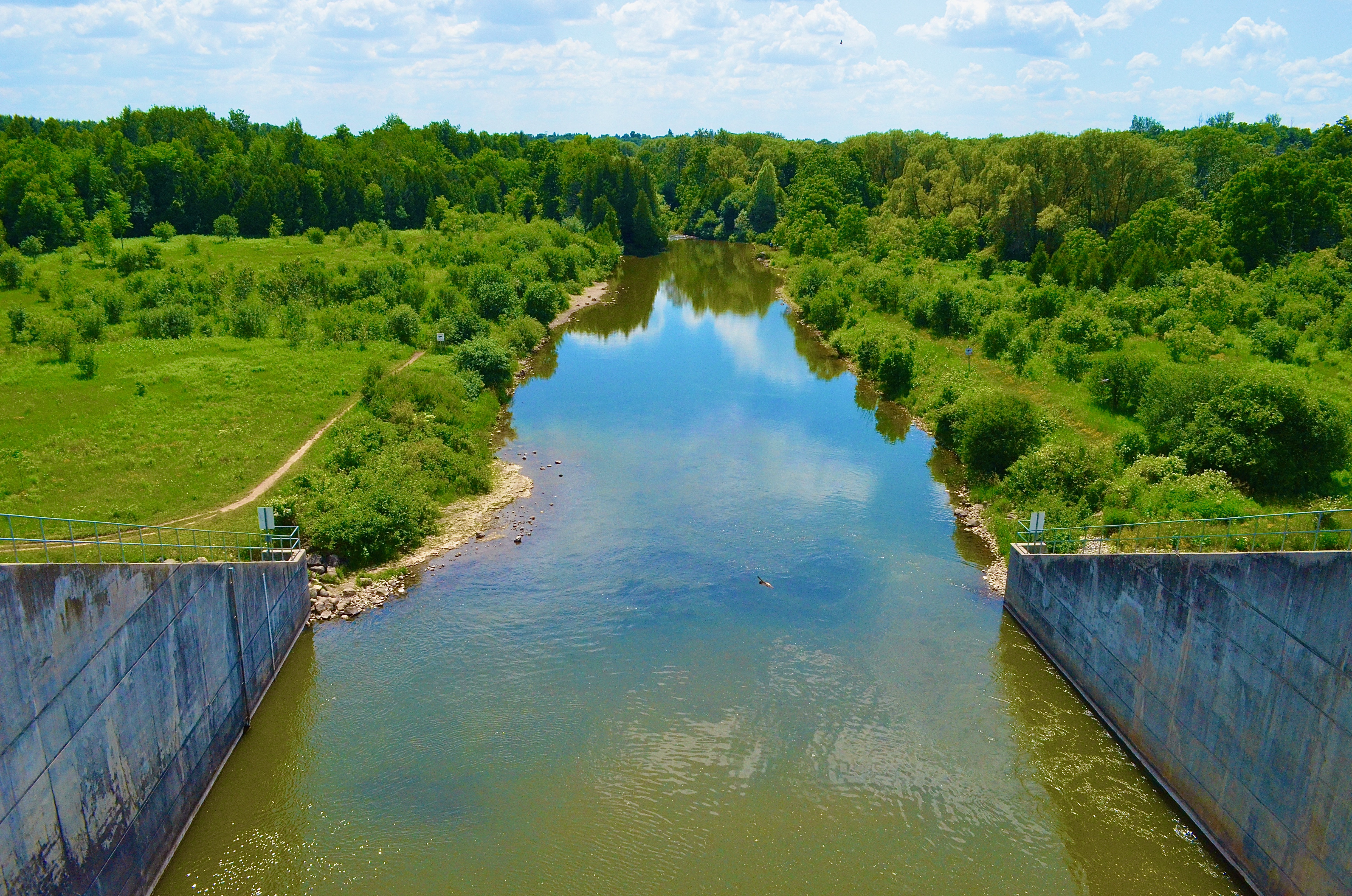 Taking it slow on the Speed River trails (30 photos) - Guelph News