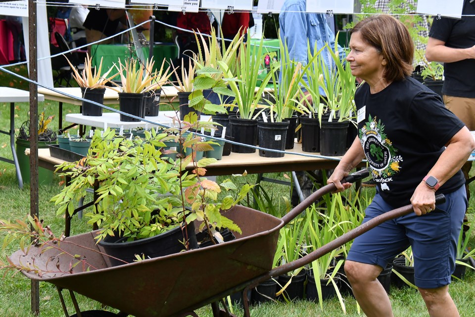 The plant sale at the Arboretum offers native perennials and shrubs for smaller gardens, as well as unique woody plants and trees that cannot be found in typical garden centres.