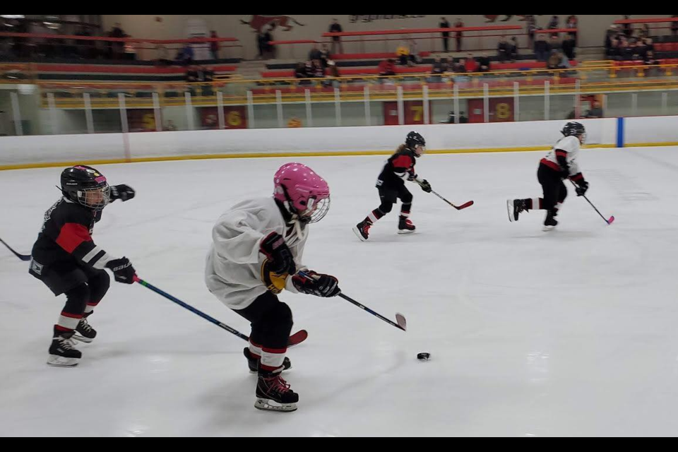 The GGHA is dedicated to providing a fun environment for women and girls to develop self-esteem and confidence through hockey, by promoting team work, a strong work ethic and athletic commitment. 