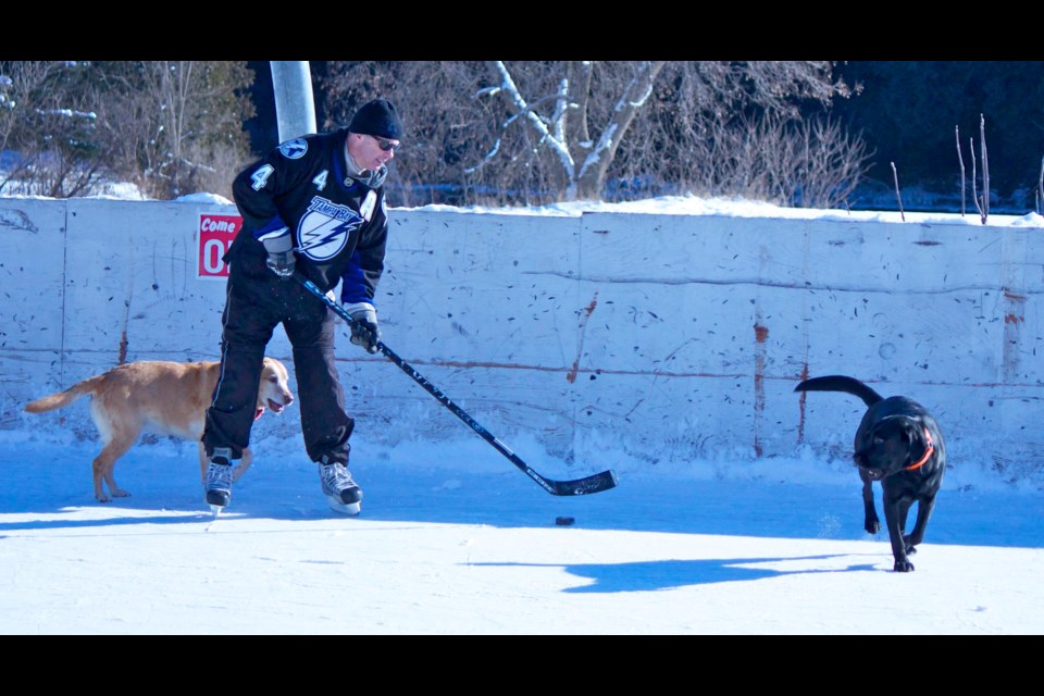 Bissell Park's outdoor rink is being considered for upgrades