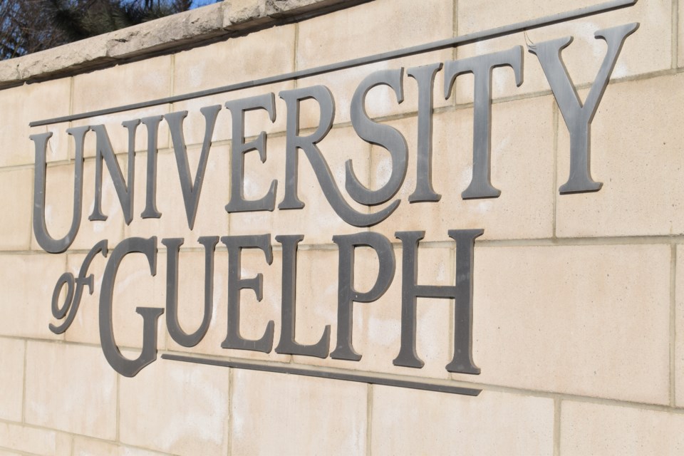 01 26 2022 University of Guelph Stock Image C