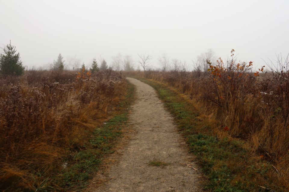 The Guelph Lake Conservation Area Rotary Trail is a loop off Conservation Road that runs  1.6 KM, returning to the parking lot. 
