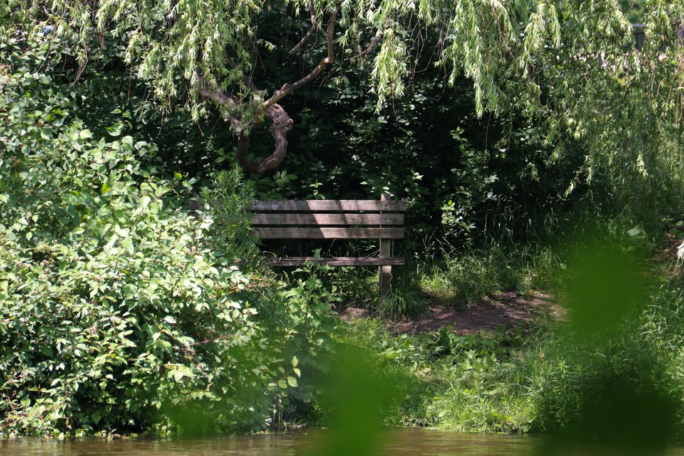 The south route of the Royal Recreation Trail runs along the river towards the Hanlon. 