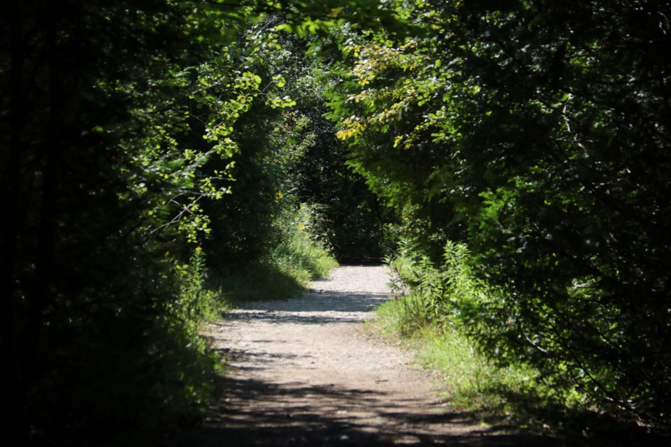 Some sights along the Smith Property Loop trail off Watson Road. 