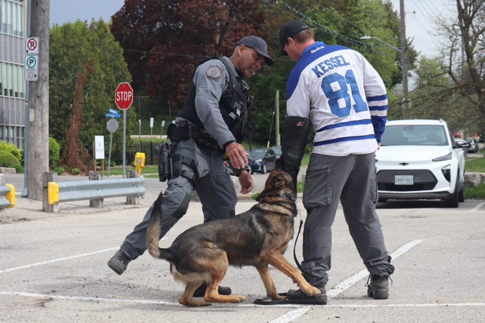 A K9 demonstration at the 2024 Guelph Police Service Family Fun Day on Saturday.