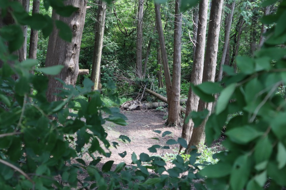 The Laura Baily Memorial Trail in the east end of Guelph was name in honour of the councillor who served from 2003 to 2007.