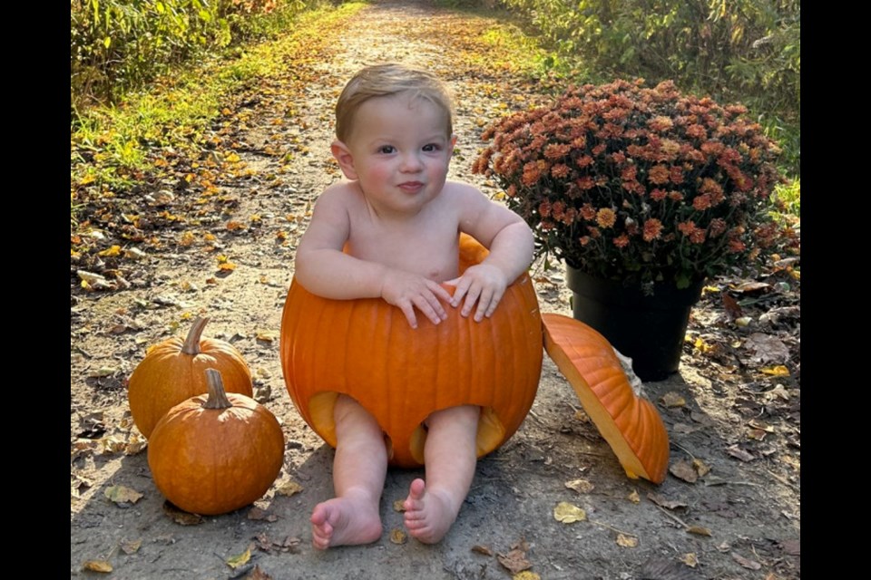 Auston in a pumpkin at a trail in Elora on a sunny day.