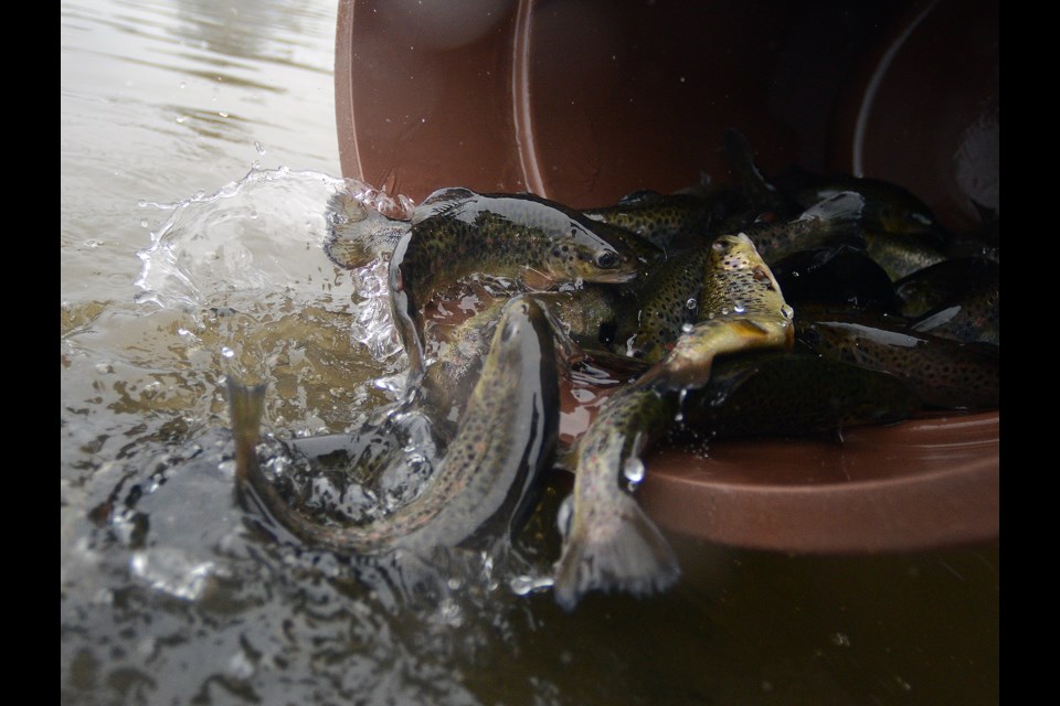 Fishing at the Gâtineaux pond