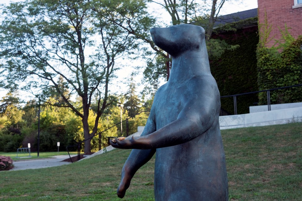 'Begging Bear', AKA Canadiana, seen in front of the Art Gallery of Guelph. Kenneth Armstrong/GuelphToday