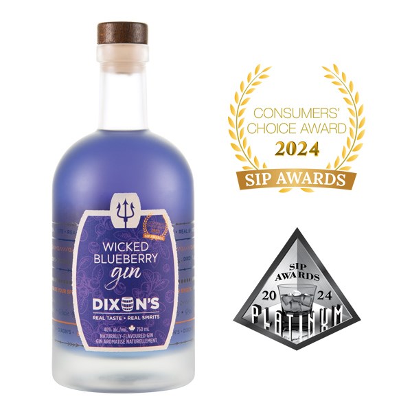 dix-web-product-gin-blueberry