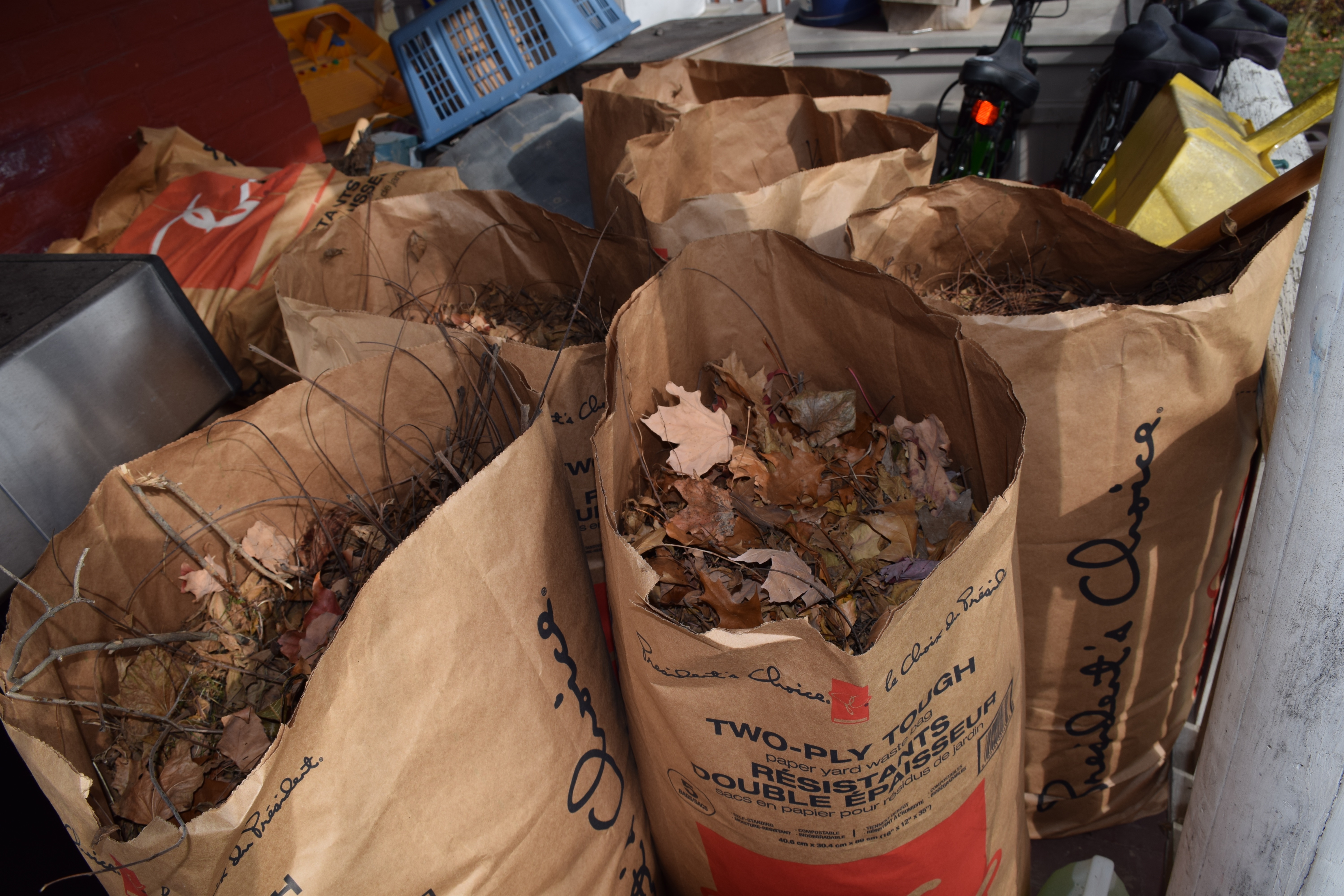 Leaf and yard waste pickup starts Monday for some residents