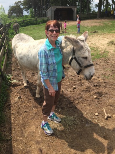 Donkey sanctuary Linda Cox