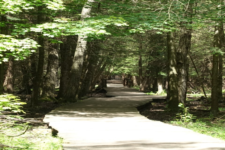 10 Best Partially Paved Trails in Guelph