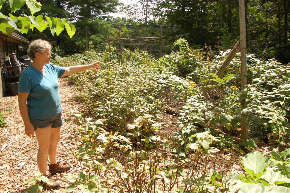 Vicki Beard shows off one of the vegetable gardens the site currently calls home.