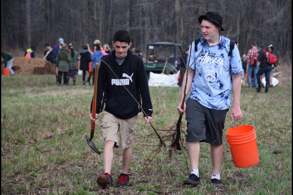 Guelph CVI grade 11 students Keaton McKay, left, and Cameron Powell get ready to plant at the Rotary Forest site Friday morning. 