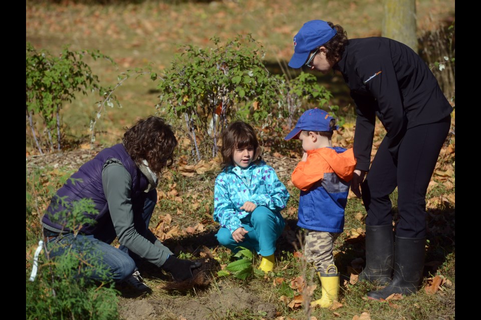 A family helps plant a tree at the Guelph Community Food forest Saturday, Sept. 30, 2017. Tony Saxon/GuelphToday