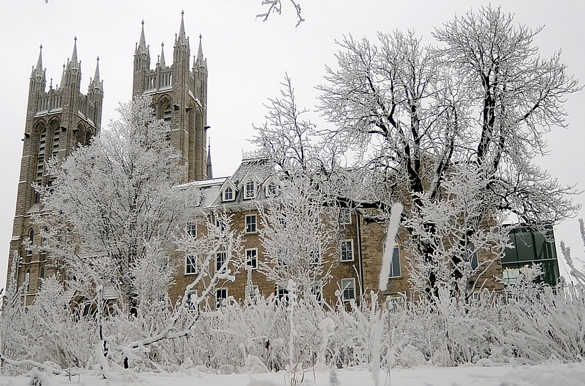 On a beautiful snowy day in Guelph (11 photos): Photo Gallery - Guelph News