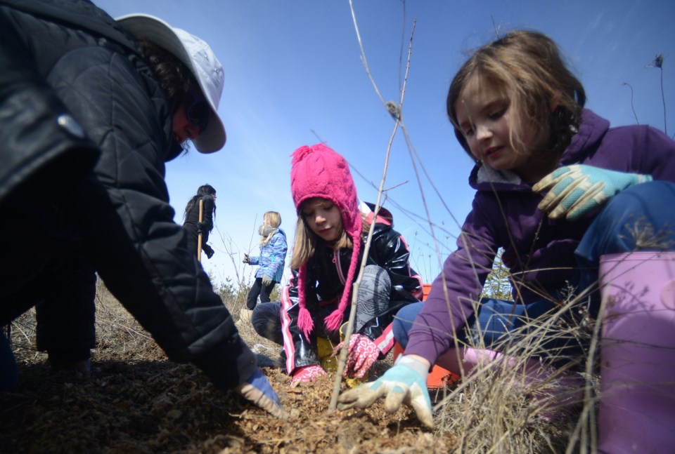 Tree planting event at Rotary Forest this Saturday