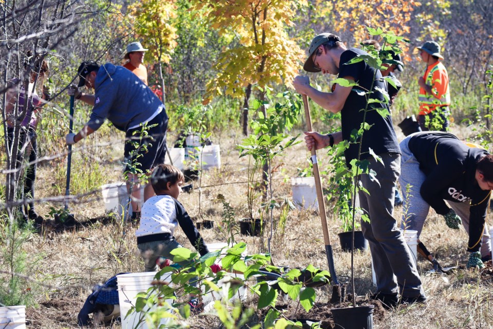 Residents gathered at a site in Kortright Hills for a community planting event by Trees for Guelph.