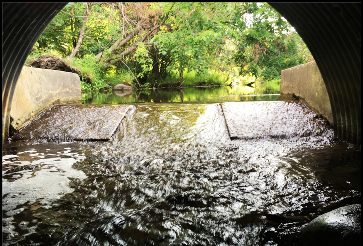 HanlonCreekWeir