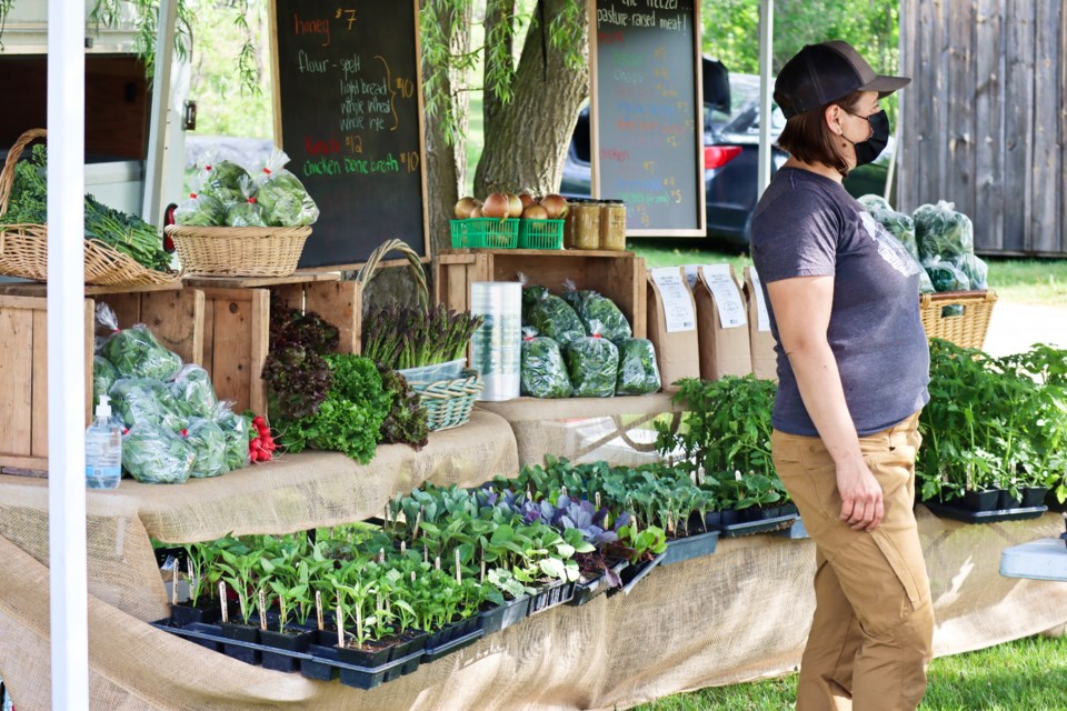 20210522 elora farmers market AD 6