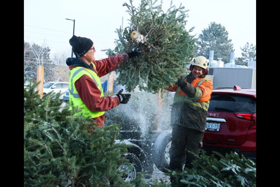 Over 275 volunteers collected over 3,600 trees for Trees for Tots on Saturday, raising over $85,000 for the Children's Foundation