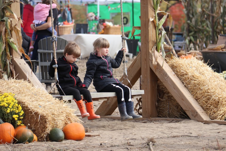 Children hold hands on a swing at the Fieldstone Barn's Fall Festival & Artisan Market in Elora on Sunday.