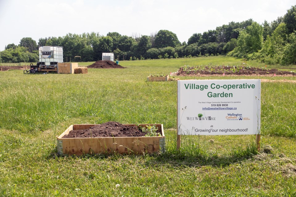 The new Village Co-operative Community Garden adjacent to St. Peter Catholic School. The community garden is an initiative of the West Willow Village Community Group. The garden has been created with growth in mind and additional plots are planned to expand the space in coming years. Kenneth Armstrong/GuelphToday