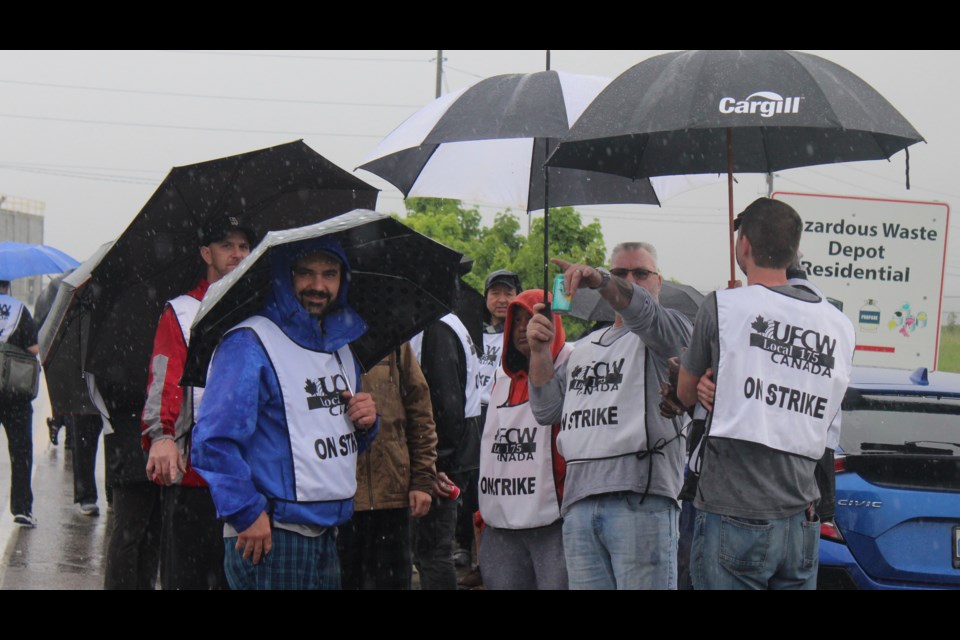 Nearly 1,000 workers with the Cargill plant on Dunlop Drive hit the picket lines Monday, sporting signs and umbrellas to call for a fair wage increase.