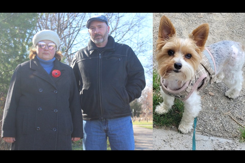 Natasha Ponedelchuk and her husband Nick Martin are grieving the death of Bairak, a two-year-old dog killed at Eramosa River Park on Oct. 28.