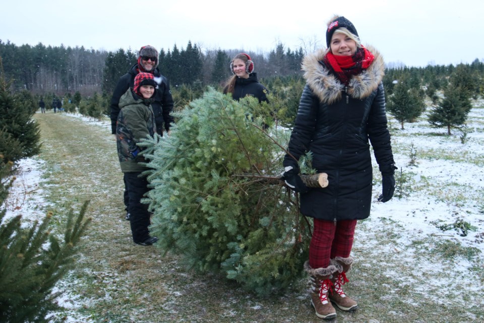 A family picks the perfect tree at Evergreen Tree Farm between Guelph and Fergus.