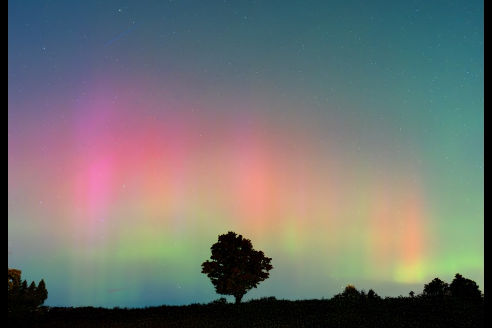 Northern Lights near the Guelph Conservation Area shot by Raghuvamsh Chavali.