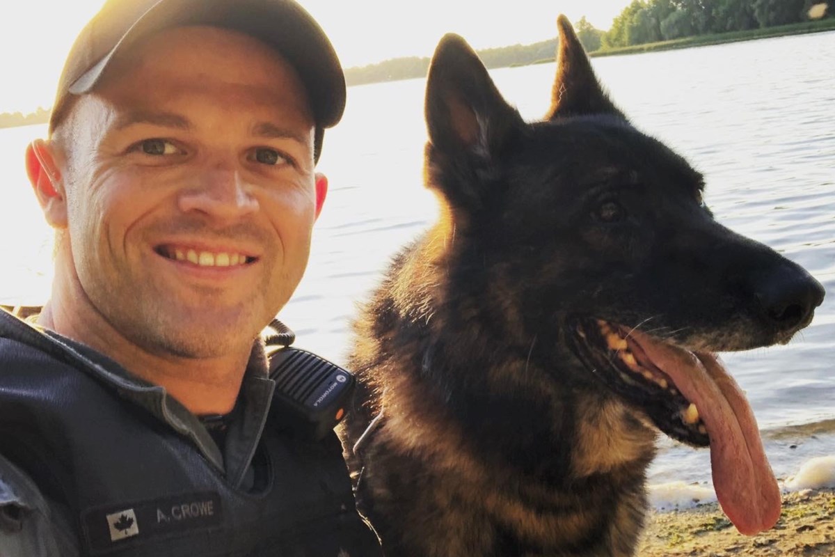 charger-retired-police-dog-passes-away-guelph-news