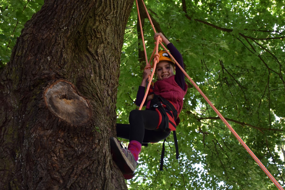Bennett Hook First-Use_Traverse_Recreational Tree Climbing 