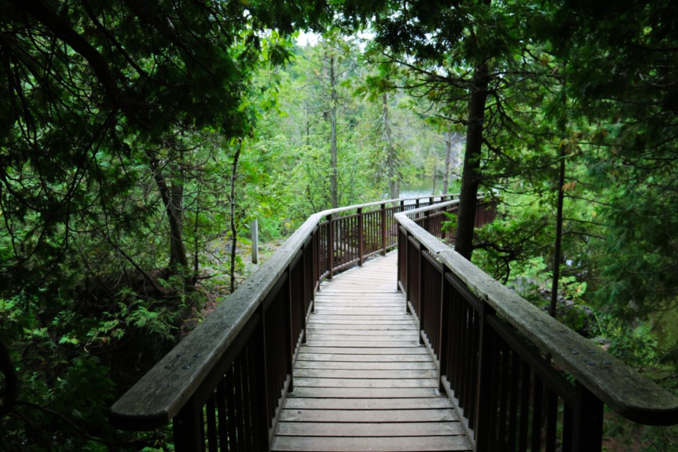 A wooden bridge going over a small body of water in Rockwood. 