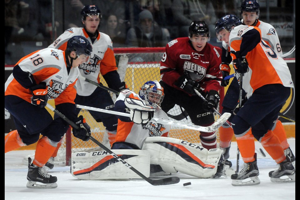 Flint Firebirds Clinch Playoffs, Two Reg Season Games This Week