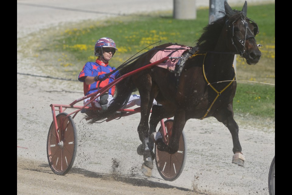 Natasha Day came to Canada from Australia looking to further her harness career. Tony Saxon/GuelphToday