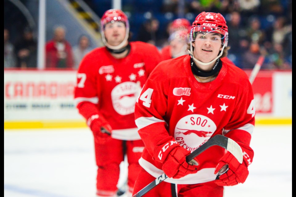 Brady Martin heads back to the Sault Ste. Marie bench after scoring against the Guelph Storm on Saturday.