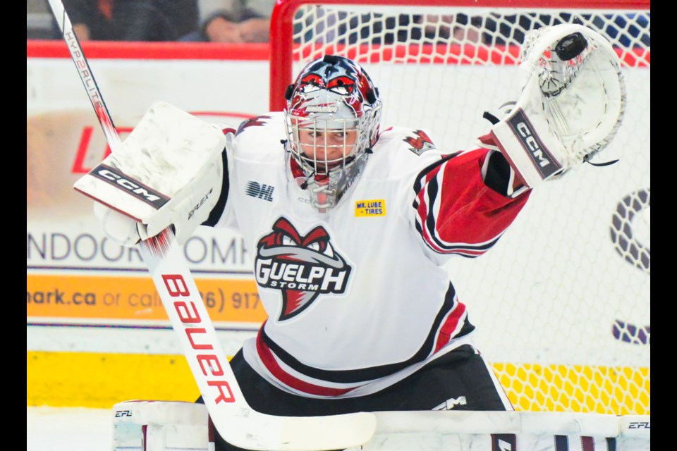 Guelph Storm goaltender Brayden Gillespie makes a glove save in the first period Friday at the Sleeman Centre.