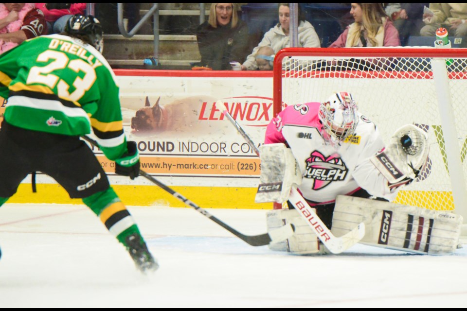 Guelph Storm goaltender Brayden Gillespie makes a glove save on the London Knights Sam O'Reilly Saturday afternoon at the Sleeman Centre.