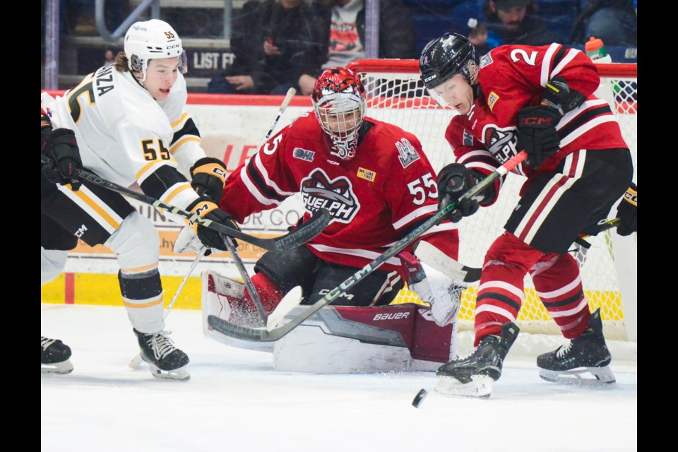 Sarnia's Matthew Manza and Guelph's Rowan Topp look for the rebound in front of Guelph goaltender Colin Ellsworth Friday at the Sleeman Centre.