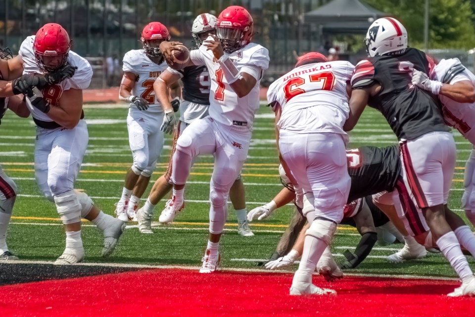 Quarterback Marshall McCray (1) of the Guelph Gryphons finds room to get into the endzone for a touchdown in the first half of Saturday's OUA football game at Alumni Stadium. The Gryphons defeated the Carleton Ravens 38-25 in their season opener.