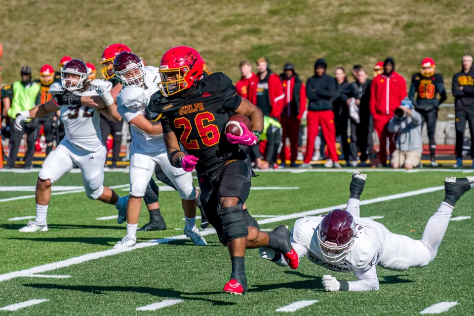 Running back Isaiah Smith (26) of the Guelph Gryphons avoids a would-be tackle from a diving Ottawa Gee-Gees defender during the OUA football quarter-final playoff game Saturday at Alumni Stadium. The seventh-ranked Gryphons defeated Ottawa 26-15 to advance to next weekend's semifinals against the third-ranked Western Mustangs.